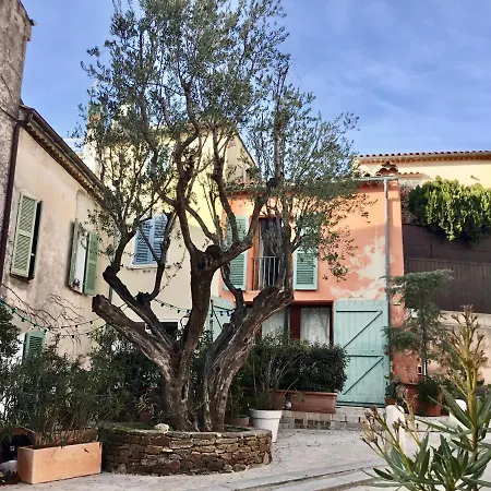 Appartement Ravissant Climatisé Gambetta Miséricorde Au Cœur De *